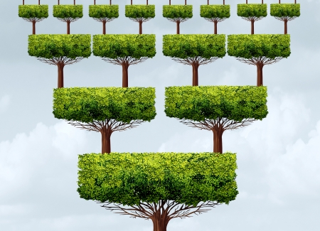 Franchise businesses and tax's photo