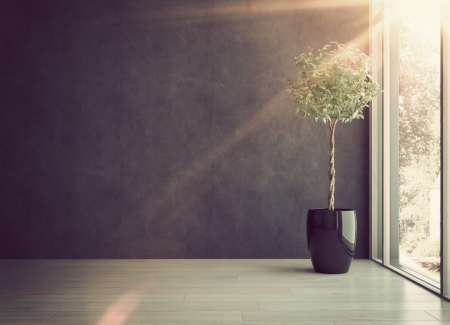 Deceased estate tax debt and legal personal representatives's photo