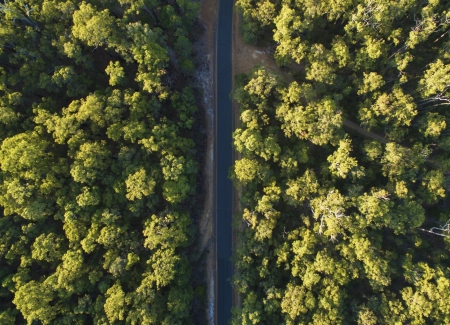 Rental travel expenses mostly off the table's photo